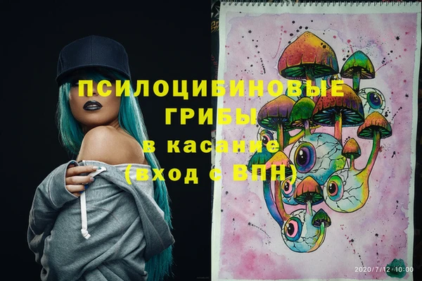 a pvp Абинск