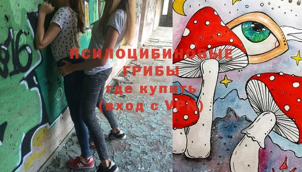 герыч Абаза