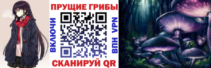 Галлюциногенные грибы Cubensis  наркошоп  Покачи 